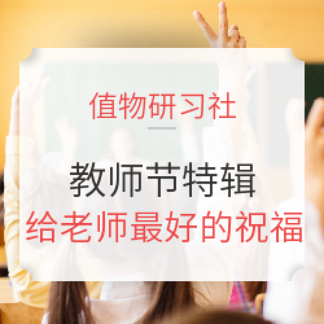 值物研习社 | Vol.6：不给糖就捣乱！万圣节变装达人，不可或缺的party装饰~