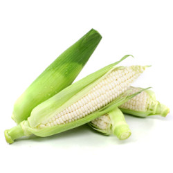 碧莲塘微玉冰糖牛奶玉米2225kg79根