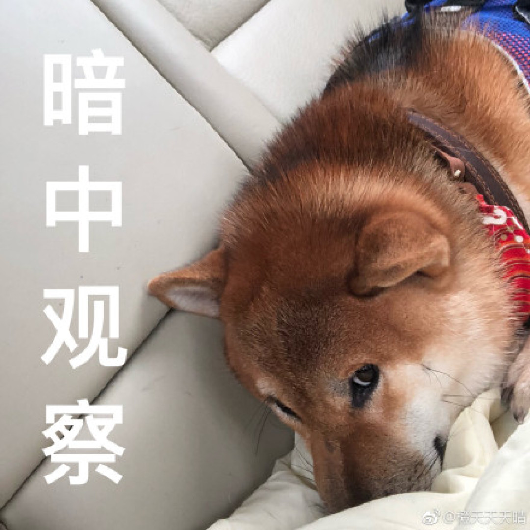识衣间 VOL.89：国潮高歌猛进，波司登竟然也成了时尚界的宠儿？