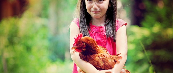  厨·器|烤熟一只鸡都需要些什么？私人订制专属你的电烤箱