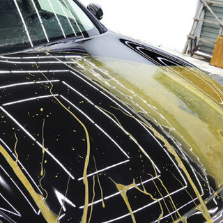 WEICA 维尔卡特 汽车镀晶套装 纳米漆面镀金渡晶剂 2层3年至尊上光驱水防腐蚀养护
