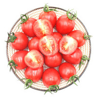 GREENSEER 绿鲜知 绿鲜知 圣女果 小番茄 小西红柿 樱桃番茄 约500g 产地直供 新鲜蔬菜