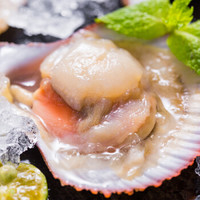 鲜动生活 鲜活大美贝 5斤 每斤15-20粒