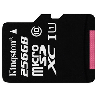 Kingston 金士顿 256GB  Class10 UHS-I TF储存卡
