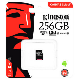 Kingston 金士顿 256GB  Class10 UHS-I TF储存卡