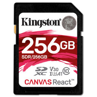 Kingston 金士顿 256GB 100MB/s SD Class10 防水抗震高速存储卡