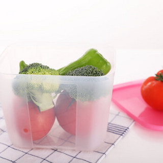 Tupperware 特百惠 冷冻冷藏保鲜盒 1.2L*2