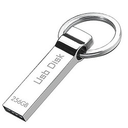 亚马逊海外购自营USB 2.0闪存盘钥匙圈/银色 256GB