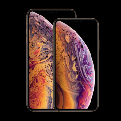 Apple 苹果 iPhone XS / iPhone XS Max 智能手机