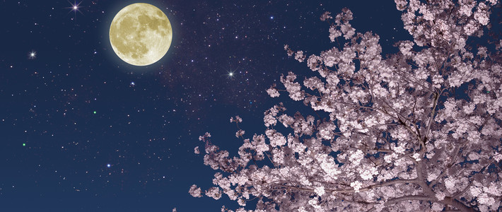  中秋不止要吃月饼还可以送这些创意应景好物