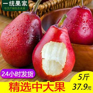 一统果家 红啤梨 (1250g)