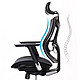Sihoo 西昊 V1 人体工学家用护腰工程学椅子 办公椅电竞椅座椅
