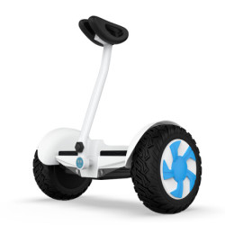 领奥 电动儿童平衡车两轮迷你成人代步大轮体