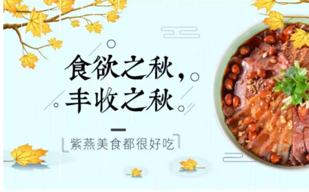 淘宝上有哪些值得回购的美食店铺？
