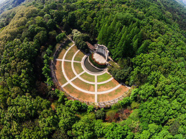 中秋欢乐行南京森林音乐会之森林的私语李云迪钢琴音乐会南京站