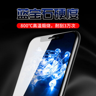  观悦 iPhone  XS Max 高清 钢化膜 (全屏)