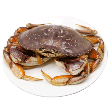 螃蟹肉少吃着又麻烦，有啥好吃的？ 聊聊吃蟹那些事儿