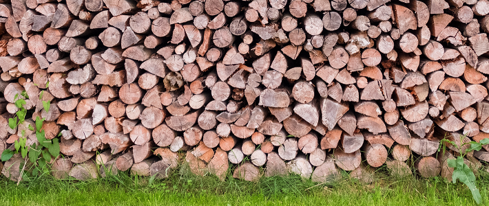  《材质》No.1榆木疙瘩不开窍？质地温良兼具刚柔相济