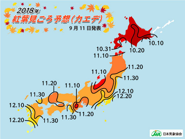 又是一年红叶季！日本最早赏枫地点，北海道酒店小攻略