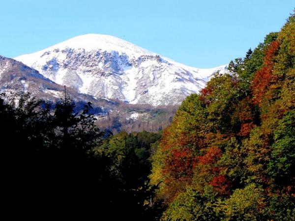 又是一年红叶季！日本最早赏枫地点，北海道酒店小攻略