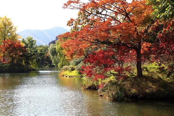 又是一年红叶季！日本最早赏枫地点，北海道酒店小攻略