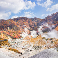 又是一年红叶季！日本最早赏枫地点，北海道酒店小攻略