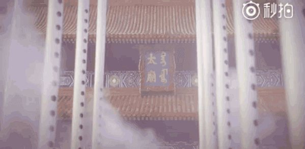 老干妈竟然卖内衣了?登上纽约时装周,这操作也太牛了吧!