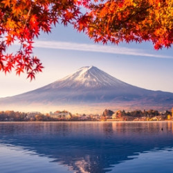 非廉航执飞！红叶季+跨年！全国多地-日本