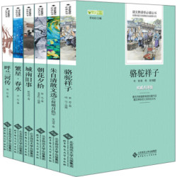 《新课标必读名著精选套装》(全6册) *4件