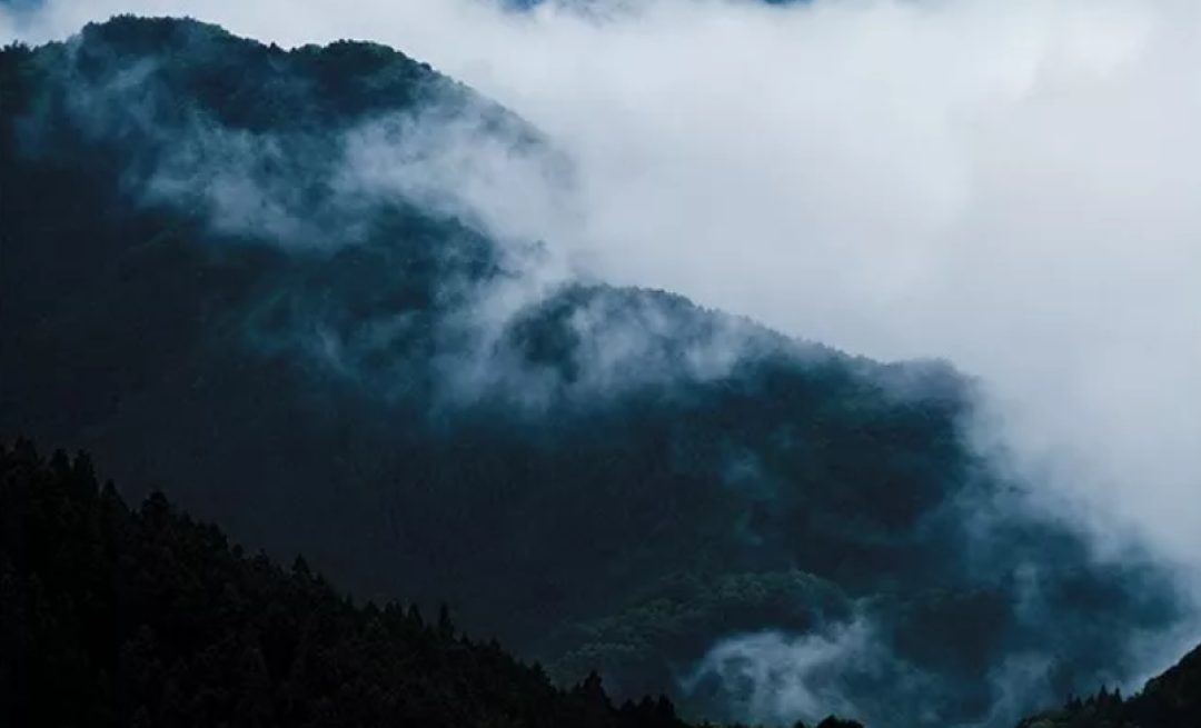 短暂告别现代生活的繁杂,去日本寺庙找回宁静!