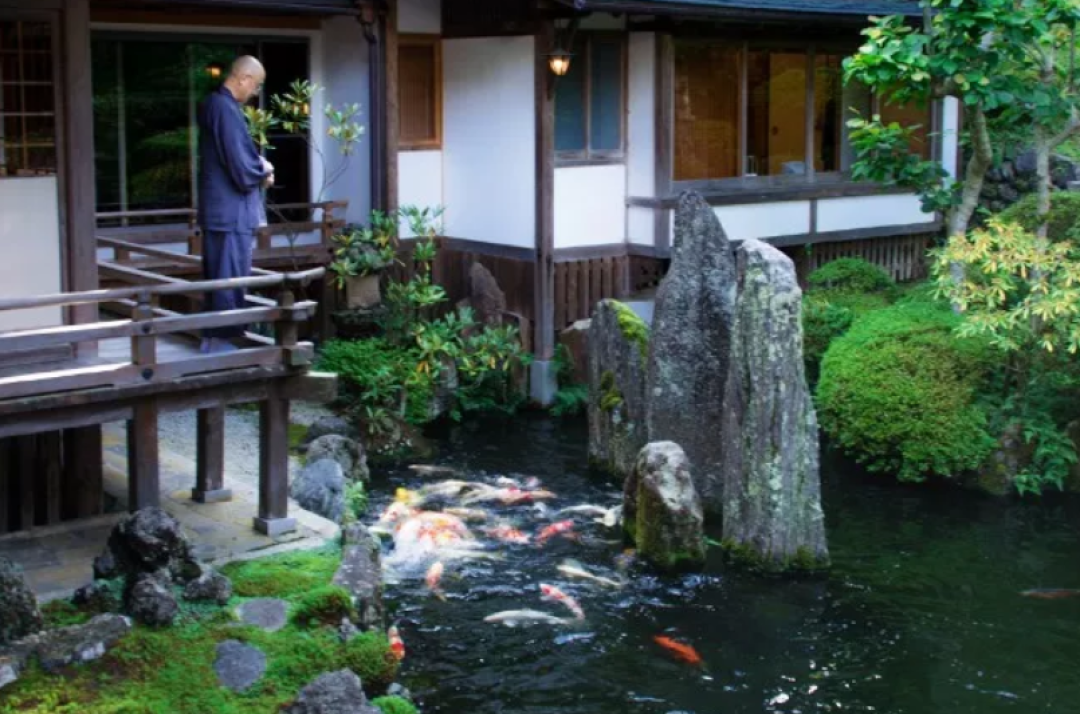 短暂告别现代生活的繁杂,去日本寺庙找回宁静!