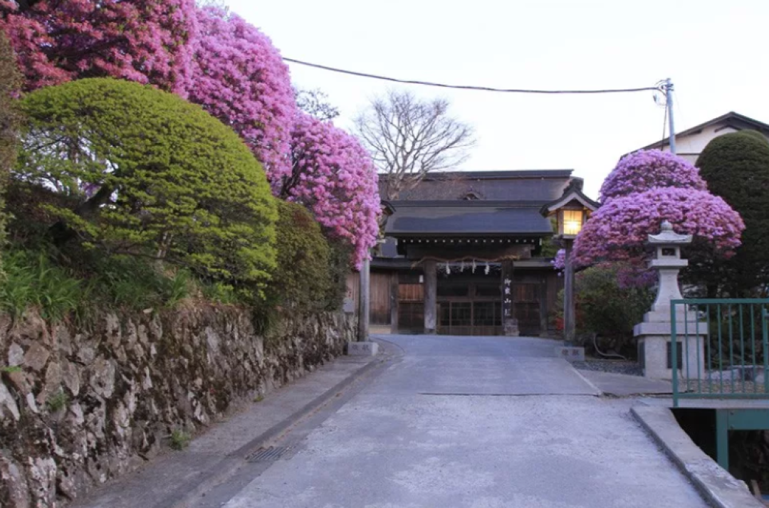短暂告别现代生活的繁杂,去日本寺庙找回宁静!
