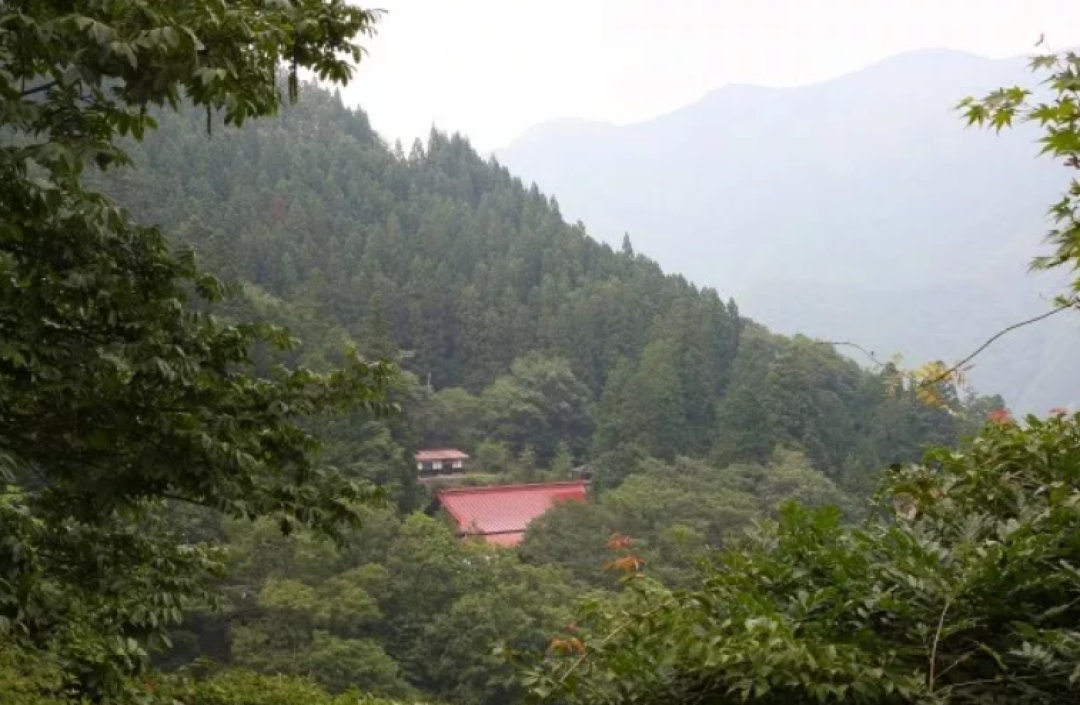 短暂告别现代生活的繁杂,去日本寺庙找回宁静!