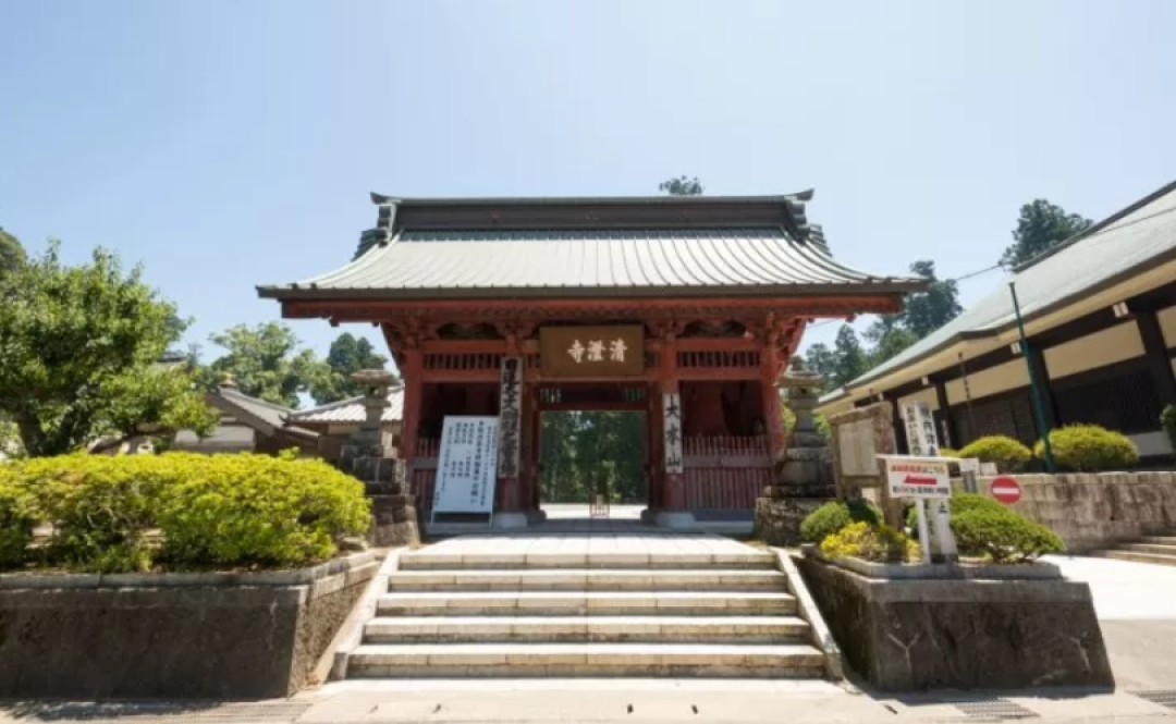 短暂告别现代生活的繁杂,去日本寺庙找回宁静!