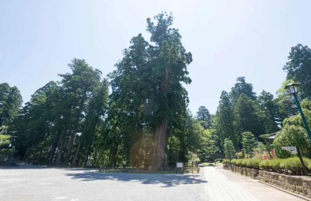 短暂告别现代生活的繁杂,去日本寺庙找回宁静!