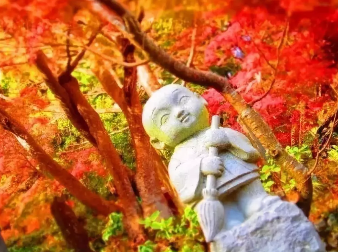 第一波红叶前线来了!还有最新追枫攻略一同奉上!