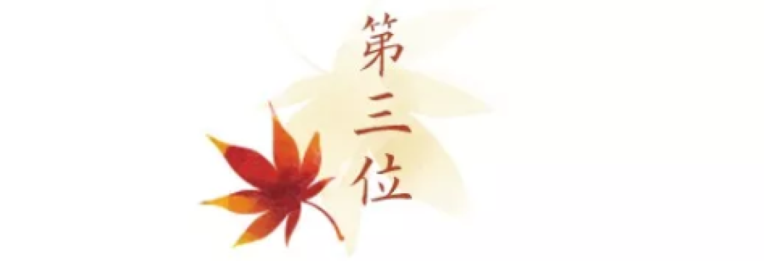 第一波红叶前线来了！还有最新追枫攻略一同奉上！