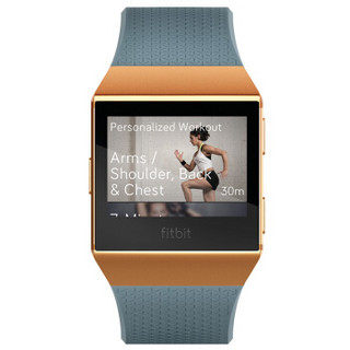 Fitbit Ionic 智能手表 岩蓝色