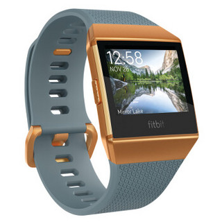 Fitbit Ionic 智能手表 岩蓝色