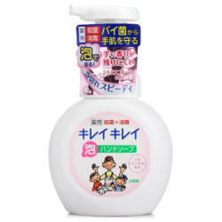 狮王 (Lion) 洗手液日本原装进口 *3件