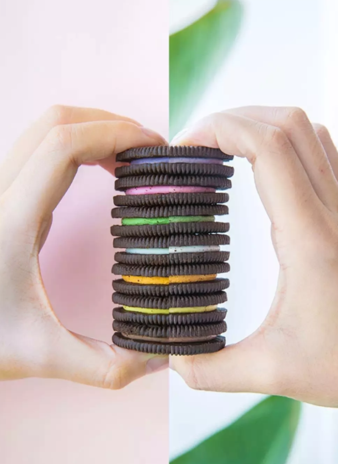 奥利奥出了8色款,每盒里面有8块不同颜色夹心的奥利奥,而且每种口味都