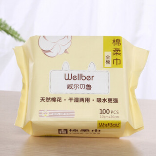 Wellber 威尔贝鲁 婴儿棉柔巾 (100抽*6包)