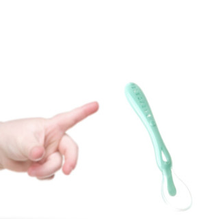 BabyCare 4600 babycare 婴儿硅胶勺 (两个装、绿色)