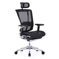 Ergonor 保友办公家具 金典旗舰版 人体工学椅