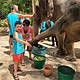 当地玩乐：泰国清迈美康大象保护营半日/一日游（含接送）