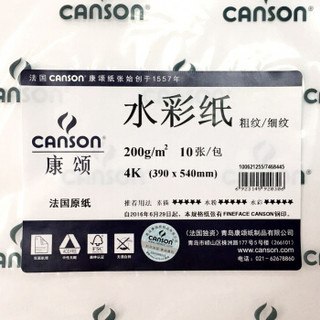 康颂 CANSON 100621255 粗细双面纹理美术绘画纸 200g 390*540(4K) 10张