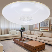 洛林 2612 LED吸顶灯 日光色 17W