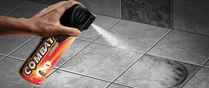  小强住我家怎么办？帮你消灭一切害虫