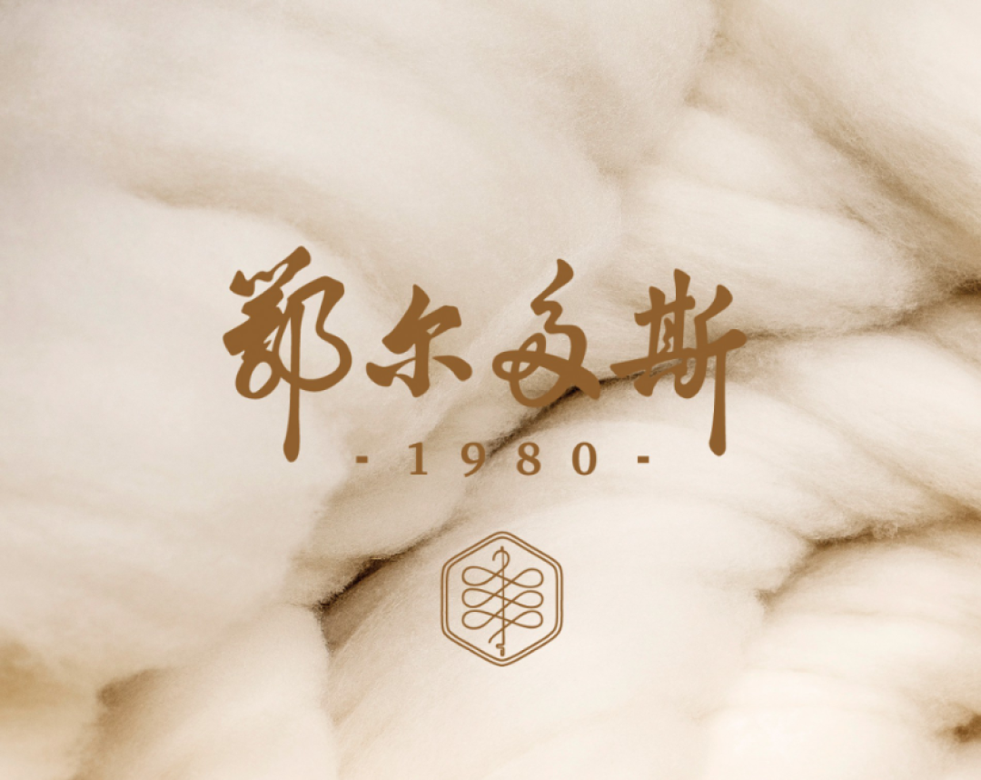 超模刘雯携手十年,你不知道的“鄂尔多斯”