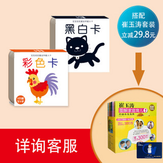  《宝宝视觉激发早教大卡：黑白卡+彩色卡》（全4册）